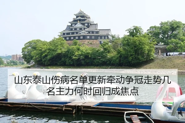 山东泰山伤病名单更新牵动争冠走势几名主力何时回归成焦点
